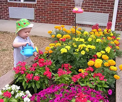 Toddler watering flowers at The Merit School