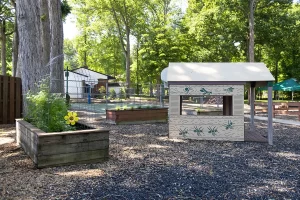 Flourishing garden boxes by the playground at The Merit School of Prince William