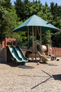 Merit School of Doc Stone - Playground covered playset with slides